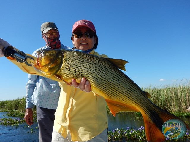 PIRA LODGE - Pantanal Argentino - Temporada 2.016